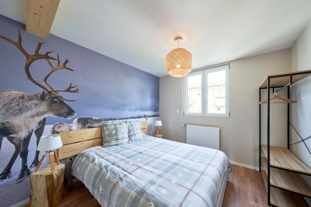 Le Scandinave Centre Ville/2 Chambres + Terrasse Colmar Luaran gambar
